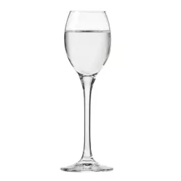 Skleničky na vodku nebo likér Venezia 55ml - sada 6 ks